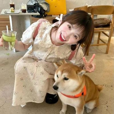 搜下留情粤语